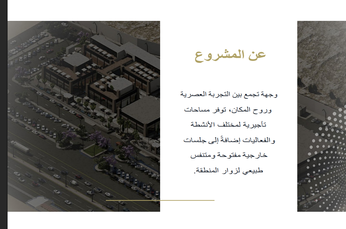 عن المشروع